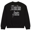 Black oversized heavyweight sweatshirt, back print of The United States of America in white script